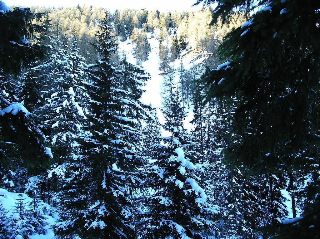 Hotel Edelweiss Маллес-Веноста Номер фото